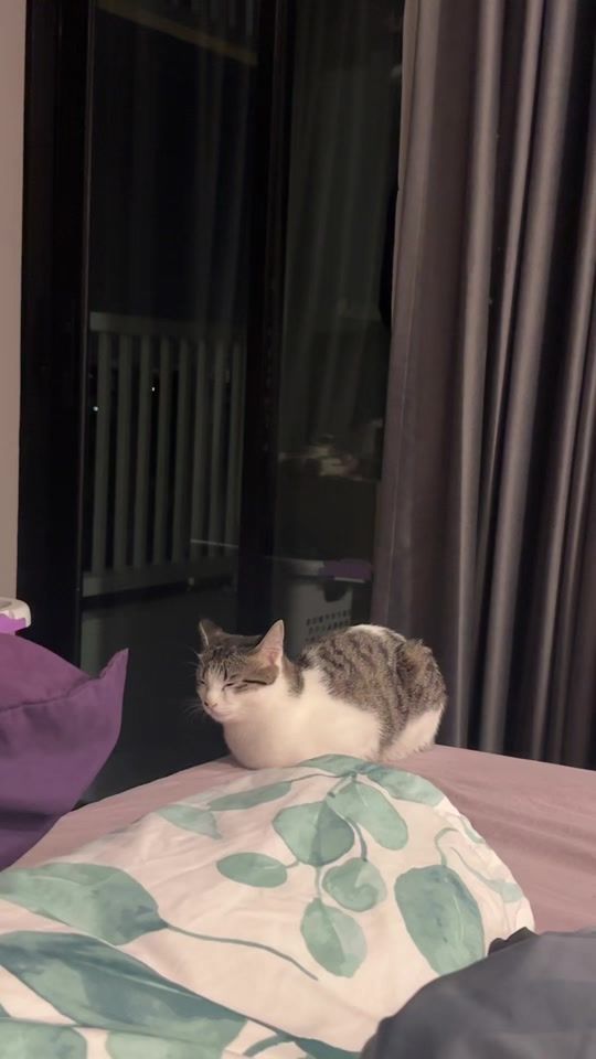 TikTok video thumbnail by jiani.3