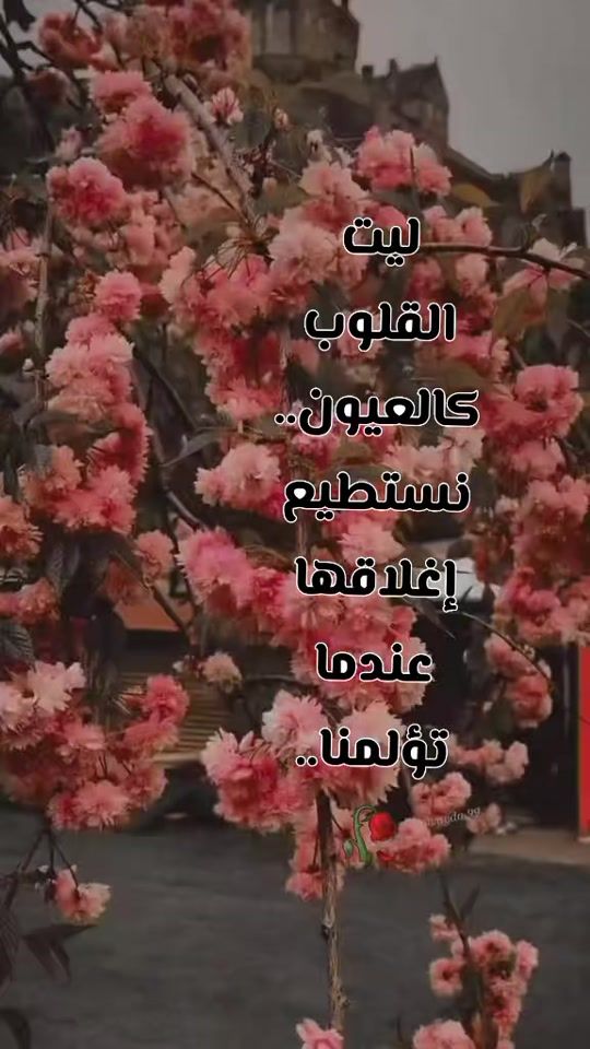 TikTok video thumbnail by lajamaalfialhyaat