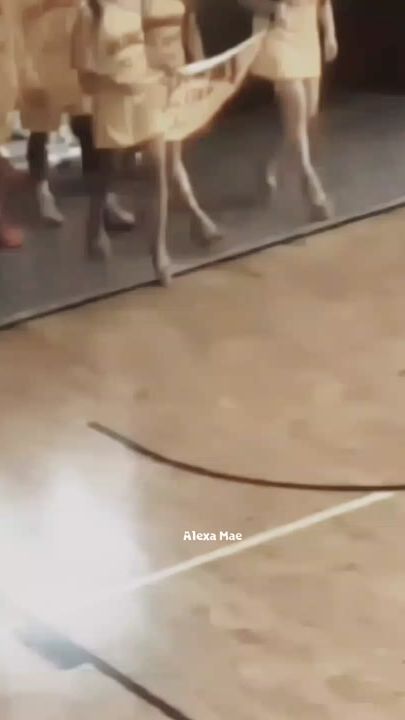 TikTok video thumbnail by gelcyforever