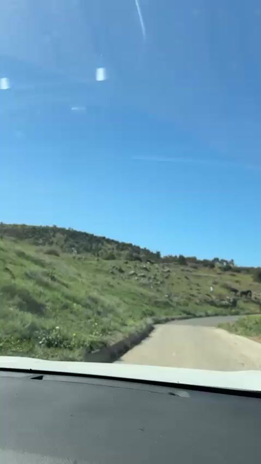 TikTok video thumbnail by nnnooorr73