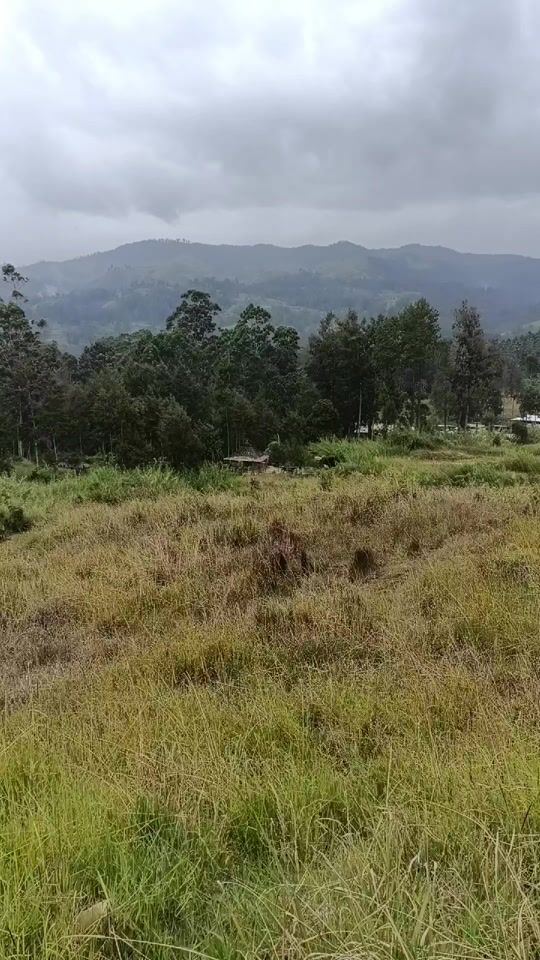 TikTok video thumbnail by waiwex7
