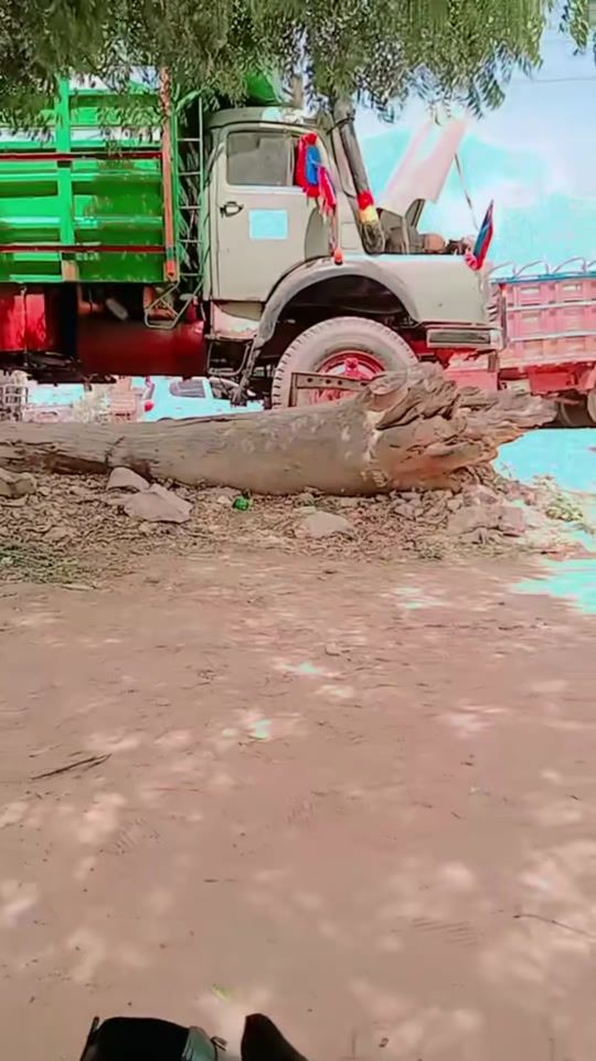 TikTok video thumbnail by abdirahmanmaxamed829