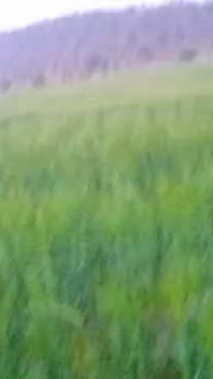 TikTok video thumbnail by .tiznit3