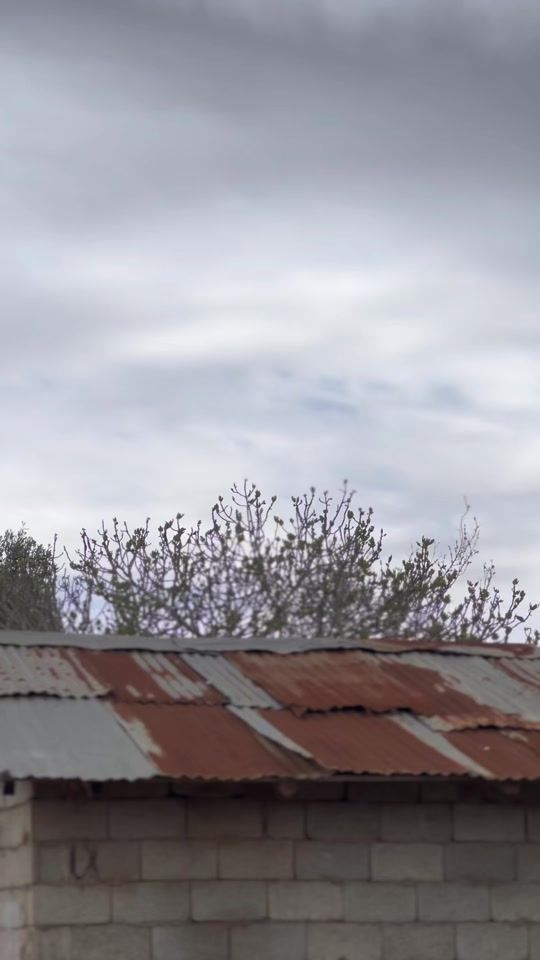TikTok video thumbnail by s_88.t
