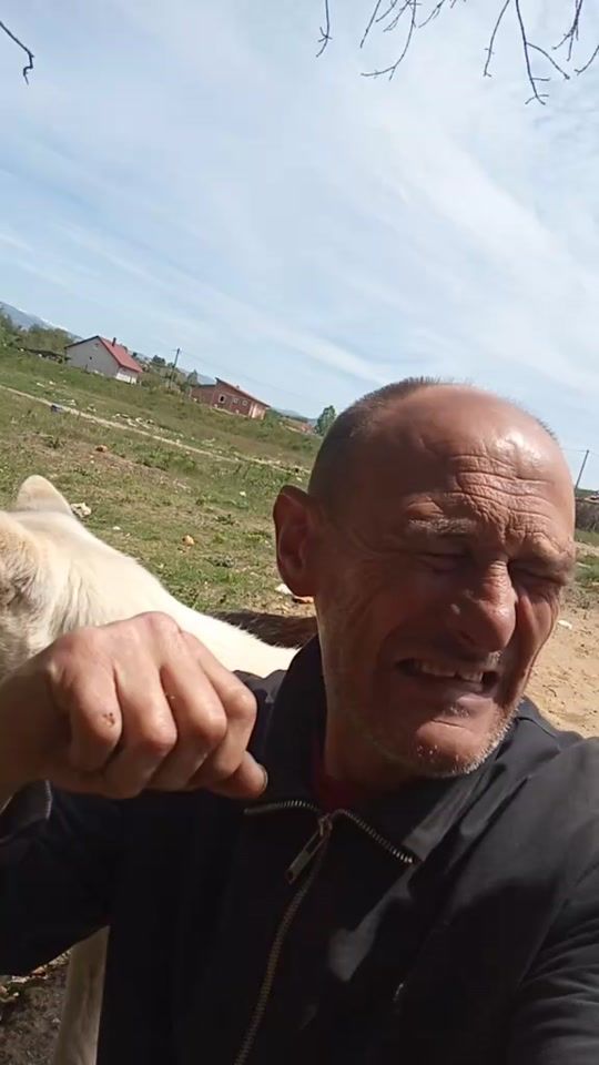 TikTok video thumbnail by danone.misevi