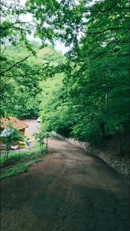 TikTok video thumbnail by official.com991