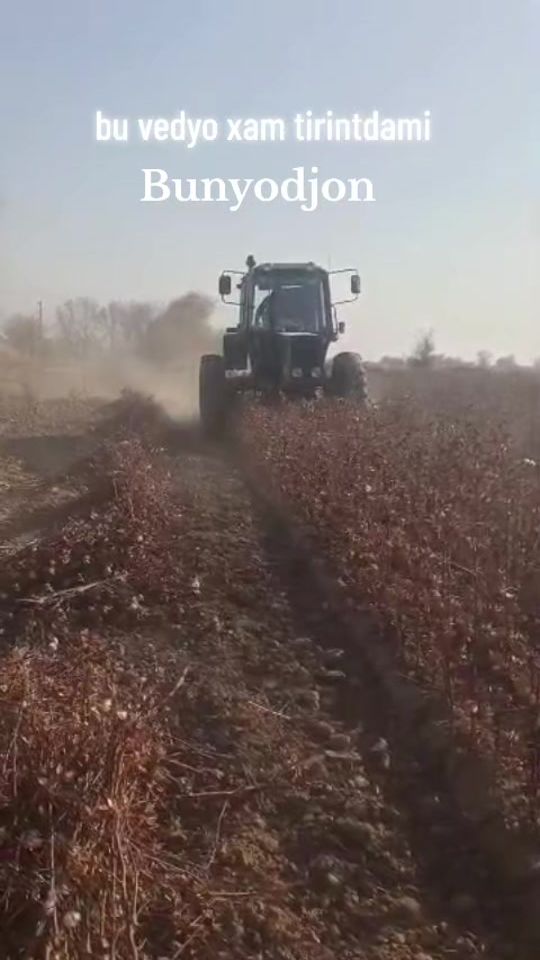TikTok video thumbnail by quvondiq085
