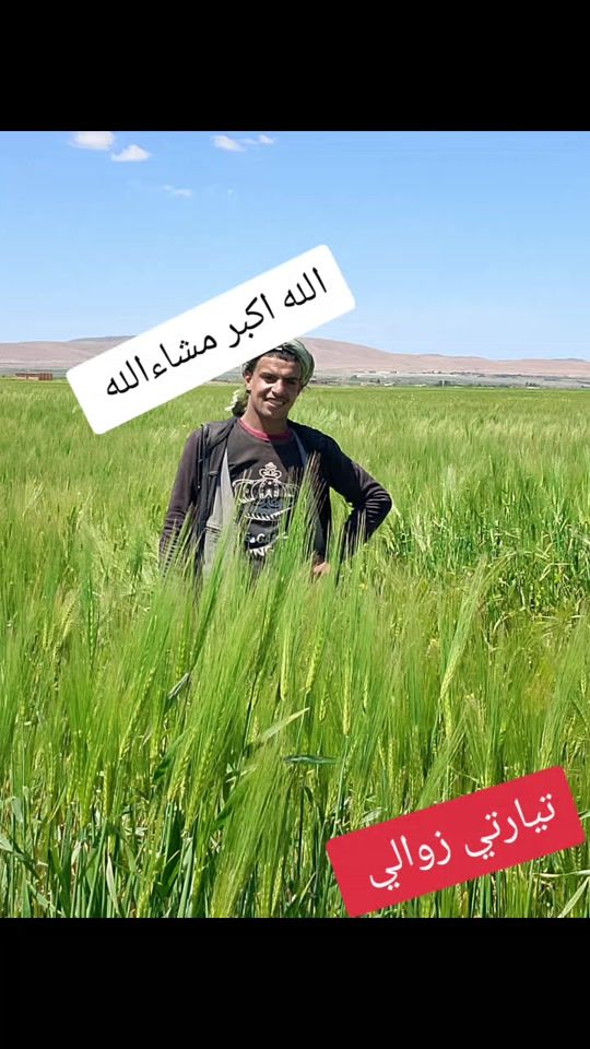 TikTok video thumbnail by omarsghire1