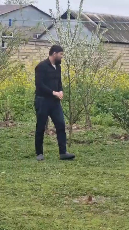 TikTok video thumbnail by cavidan.seccadi