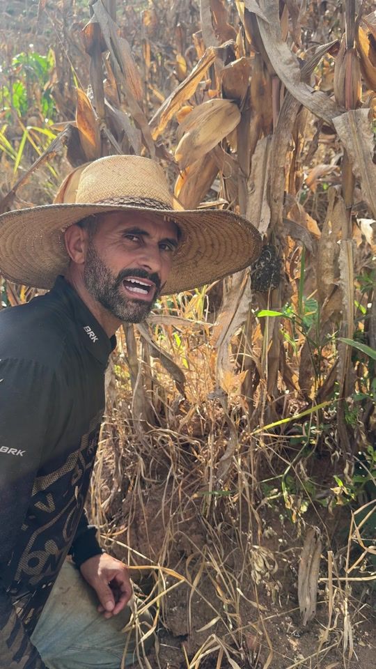 TikTok video thumbnail by dimilsomalves