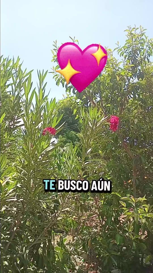 TikTok video thumbnail by loba_503