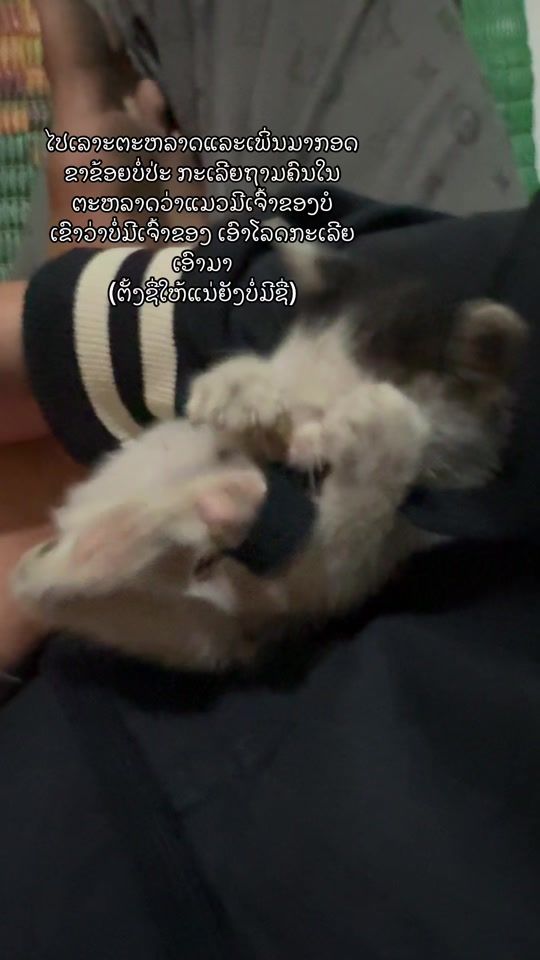 TikTok video thumbnail by khemlaos1