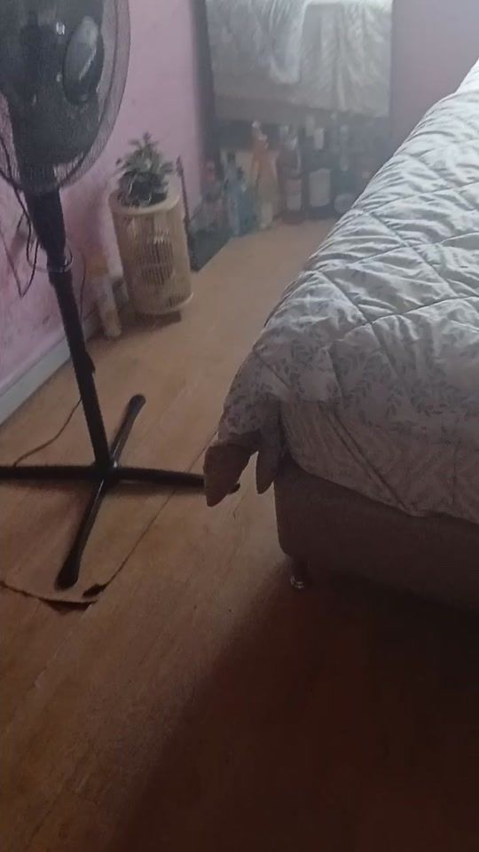 TikTok video thumbnail by jepp_ook