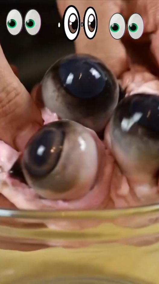 TikTok video thumbnail by elbotanico0