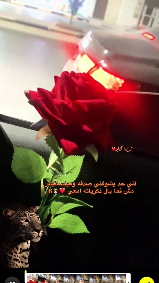 TikTok video thumbnail by fr__2007_ha