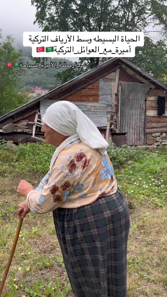 TikTok video thumbnail by meme_9900