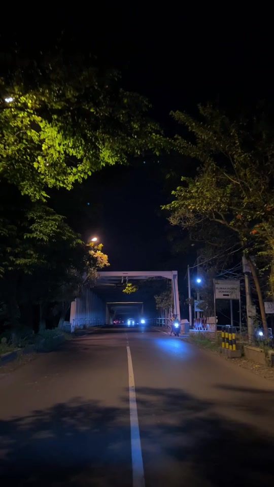 TikTok video thumbnail by media.wb