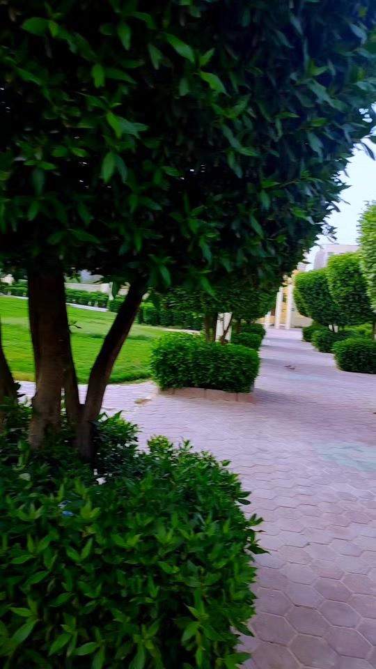 TikTok video thumbnail by prince_sajib_1