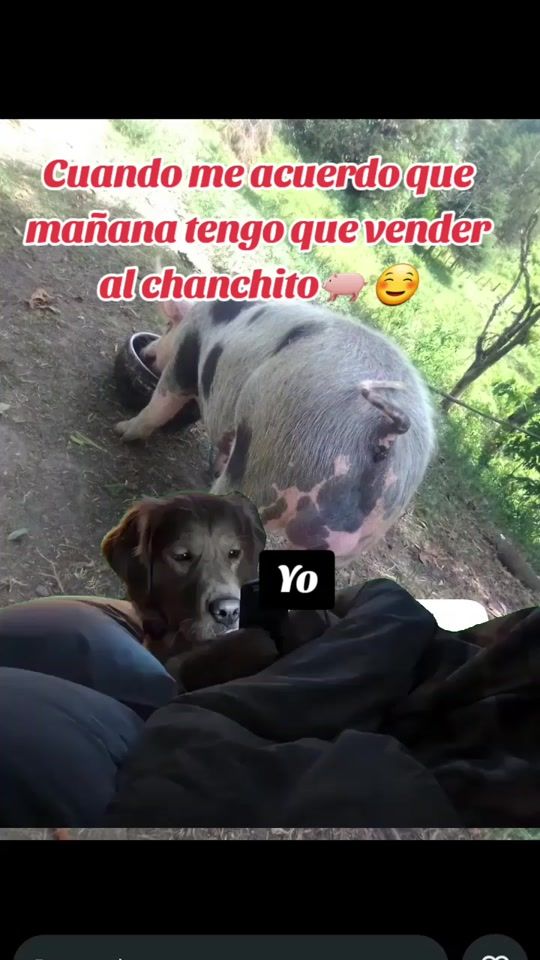 TikTok video thumbnail by cielo_18_3