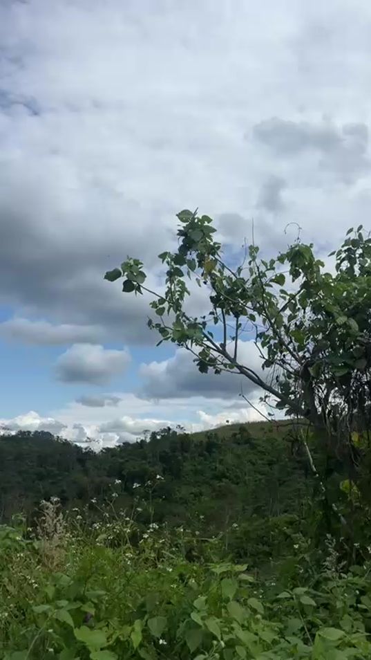 TikTok video thumbnail by beatrizkaal2