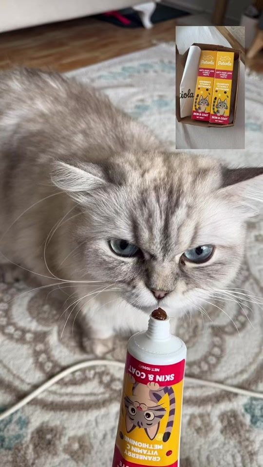 TikTok video thumbnail by bademmm37