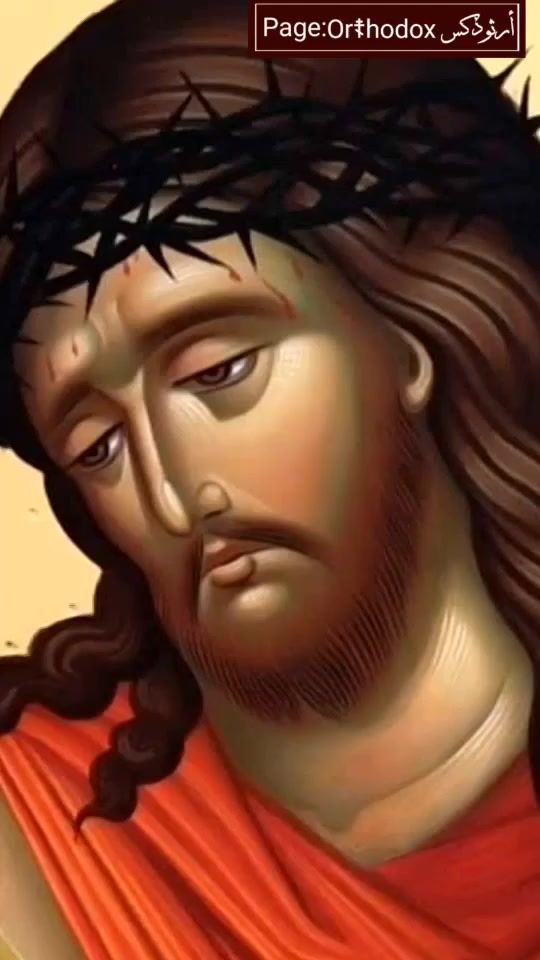 TikTok video thumbnail by orthodoxlb