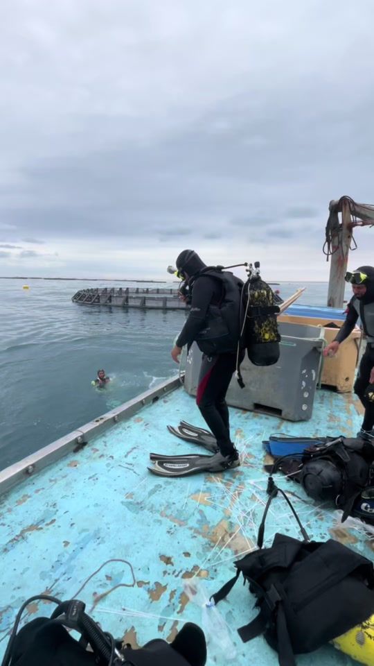 TikTok video thumbnail by ayoubmokninyous