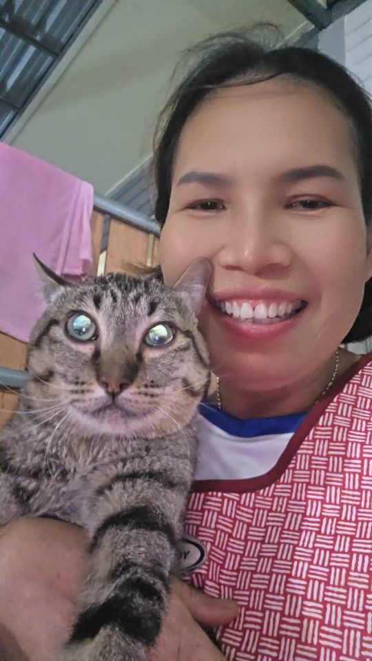 TikTok video thumbnail by pang_pond27