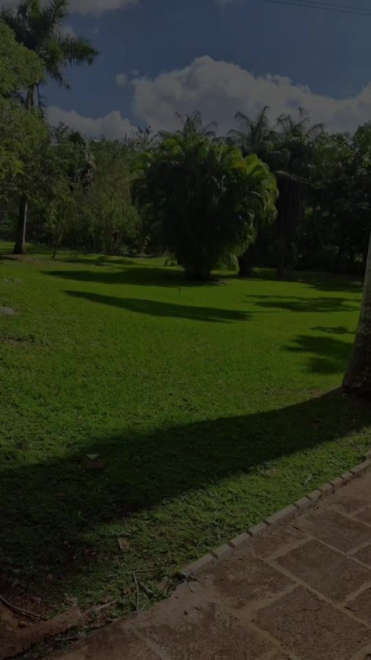 TikTok video thumbnail by patrissiarojas2