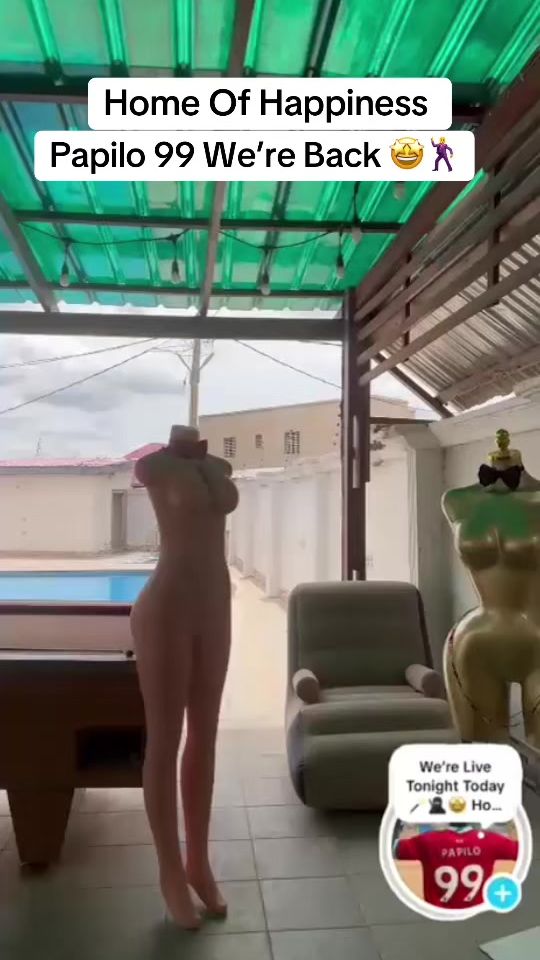 TikTok video thumbnail by papilo_99