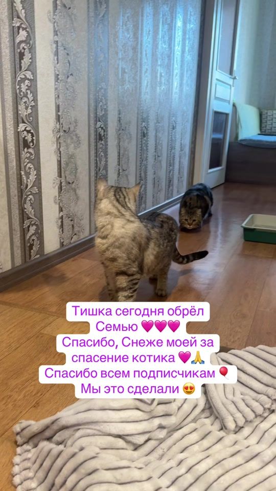 TikTok video thumbnail by maria_kovalchuk08