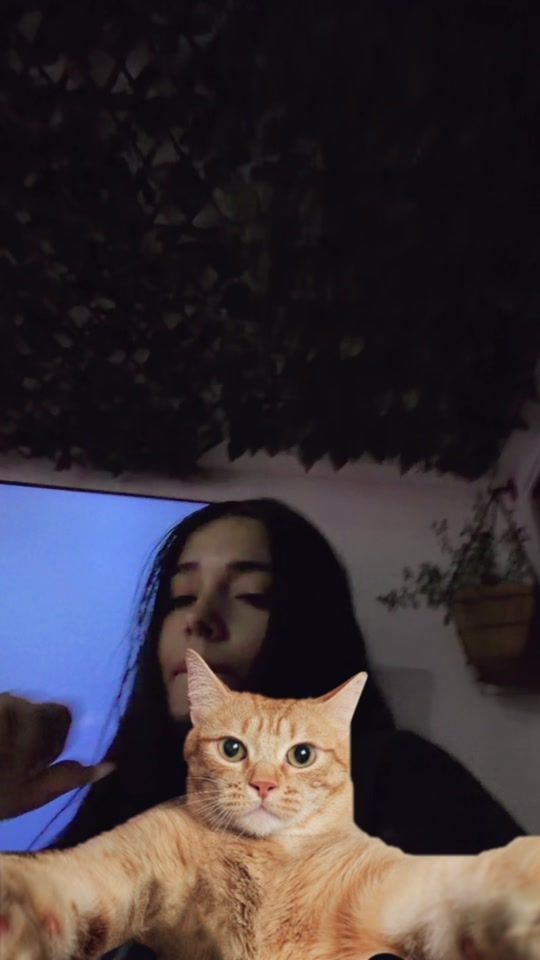 TikTok video thumbnail by dannyalv1000
