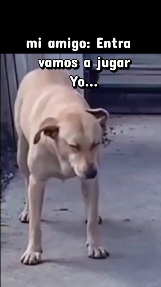 TikTok video thumbnail by s0y_j0rdy