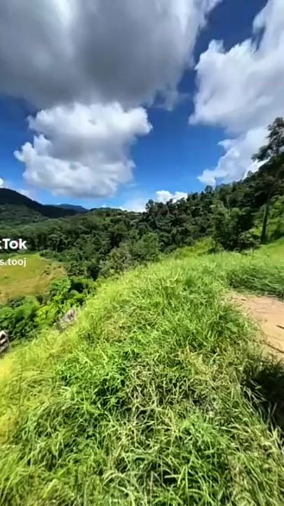 TikTok video thumbnail by o.p.g02