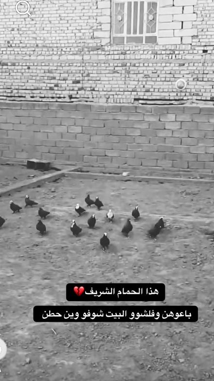 TikTok video thumbnail by mh_690