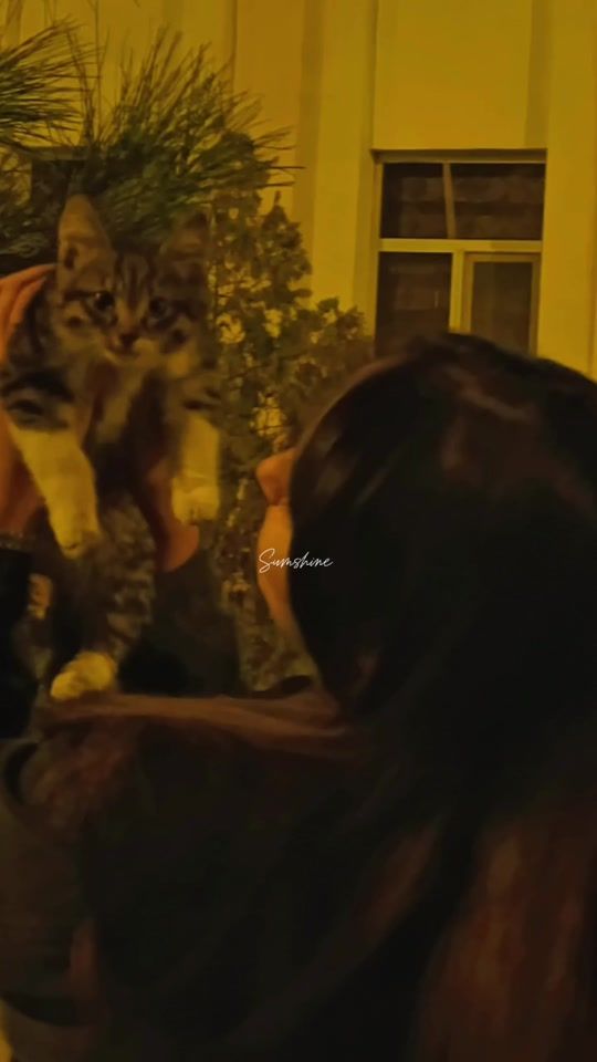 TikTok video thumbnail by sel_ya...04