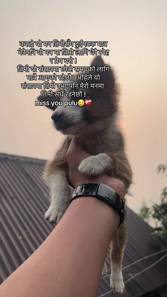 TikTok video thumbnail by avisarumagar