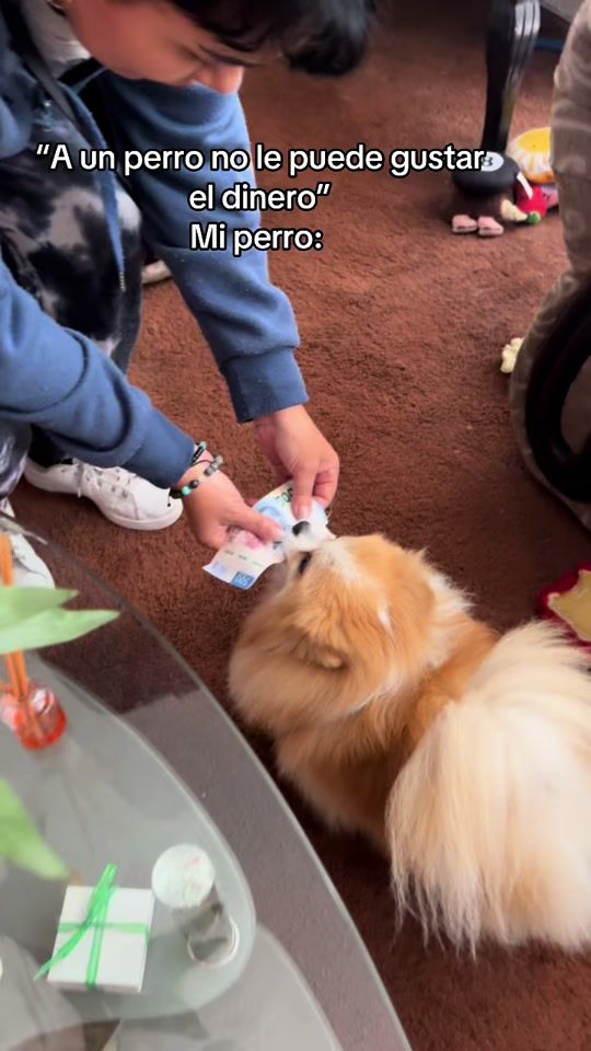 TikTok video thumbnail by toby.torbellino