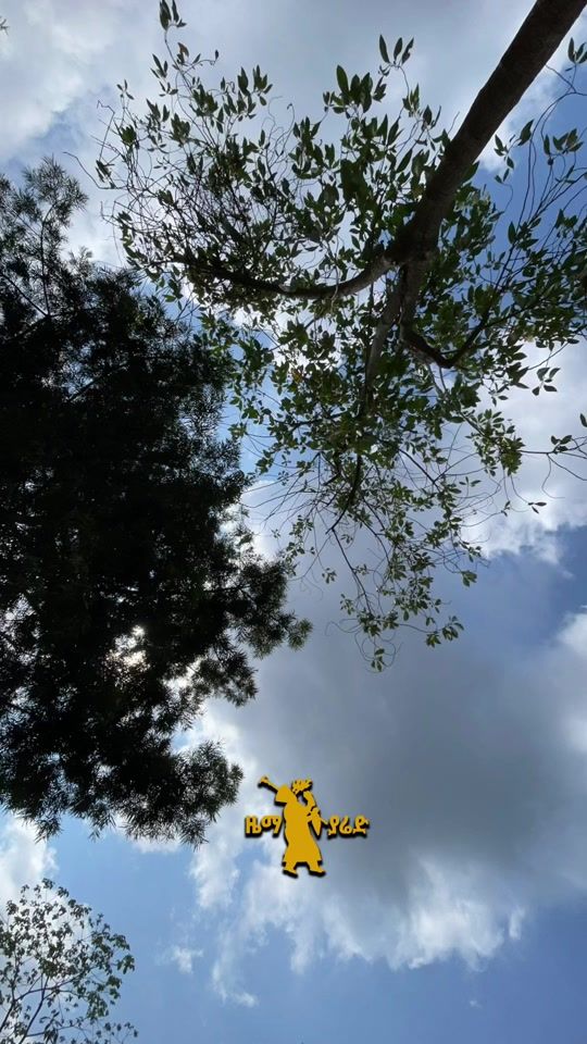 TikTok video thumbnail by zemayared_21