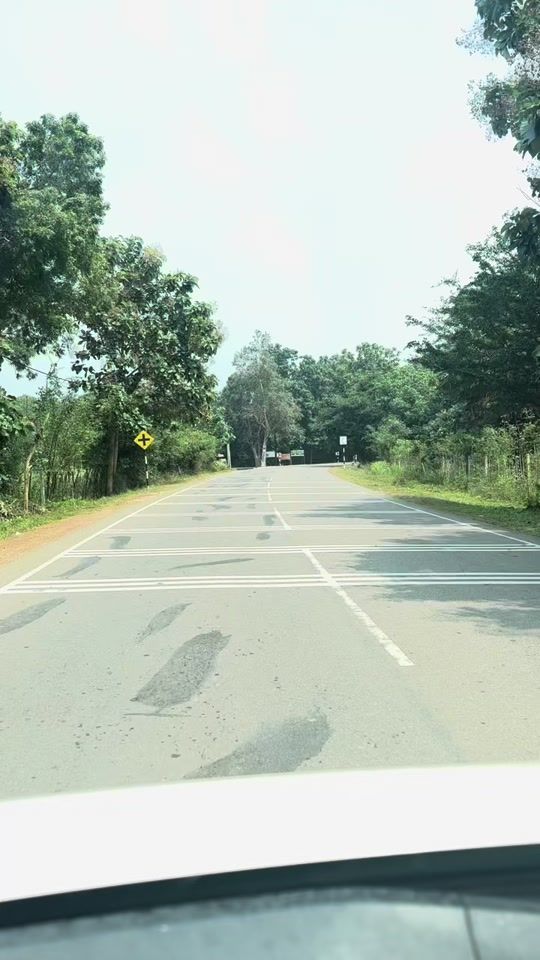 TikTok video thumbnail by sammi.rajeswaran