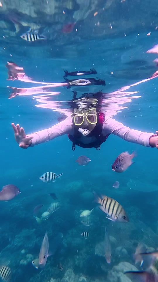 TikTok video thumbnail by beadterflies