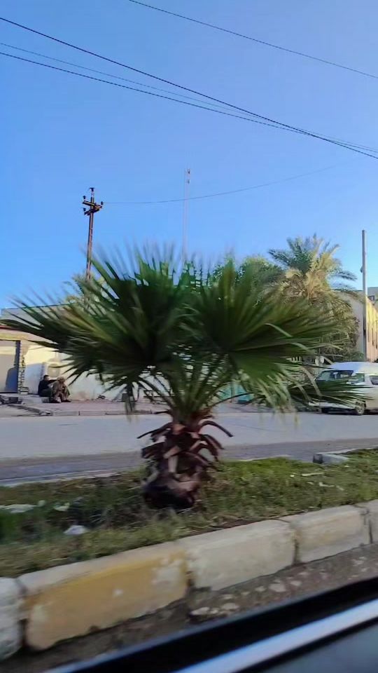TikTok video thumbnail by dhkj2b