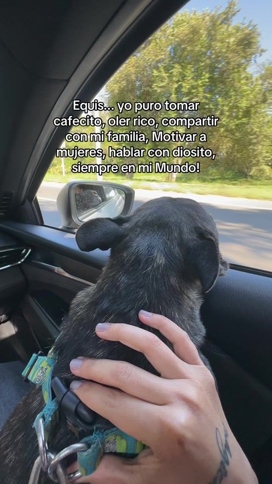 TikTok video thumbnail by frinemoli