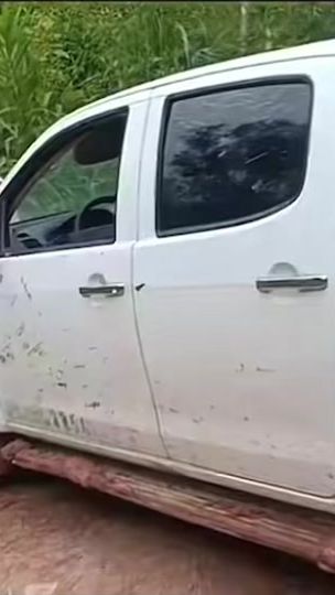TikTok video thumbnail by user781342156722