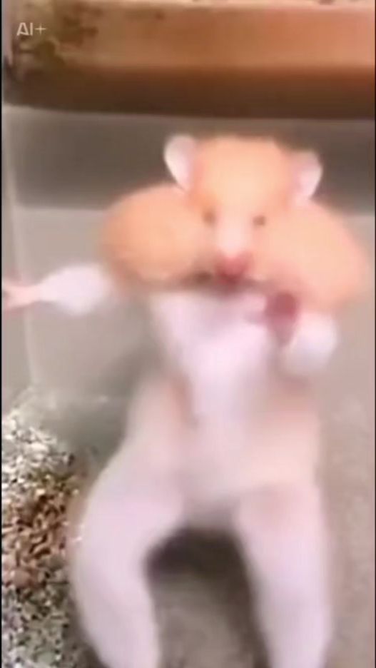 TikTok video thumbnail by t.t0414