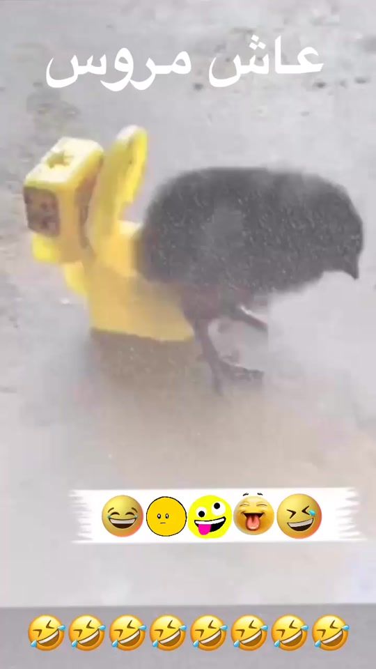 TikTok video thumbnail by fhm_009