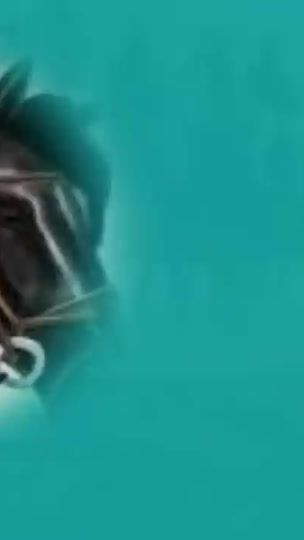 TikTok video thumbnail by dafear2021
