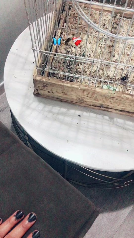 TikTok video thumbnail by sanyi.hac