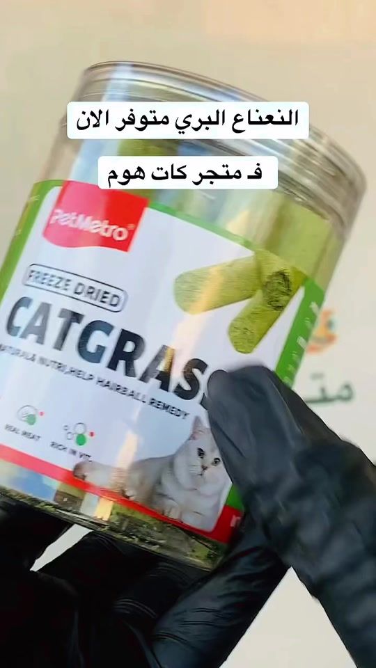 TikTok video thumbnail by home.cat766