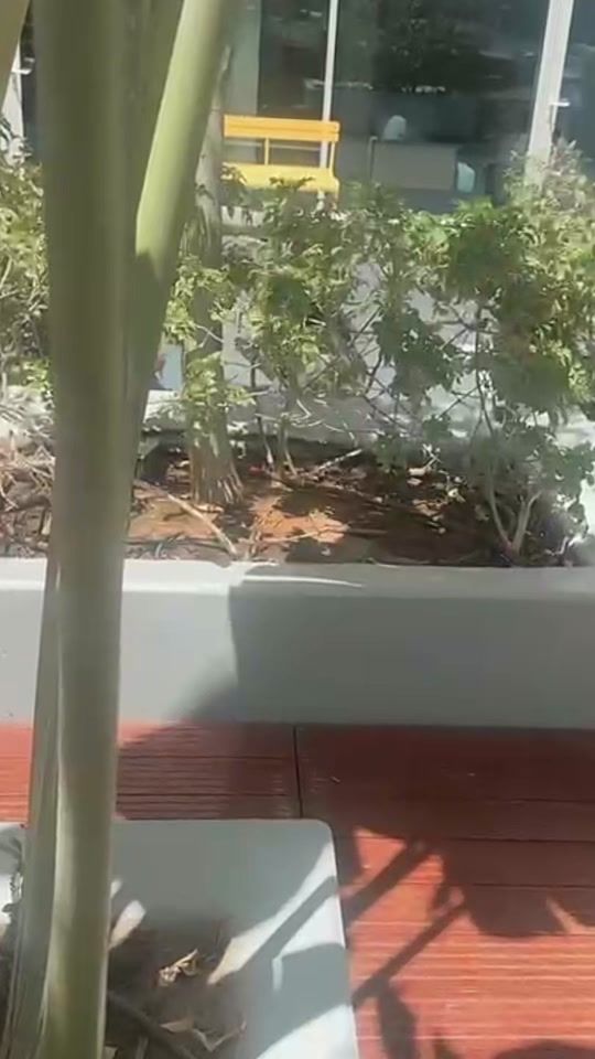 TikTok video thumbnail by lati_today